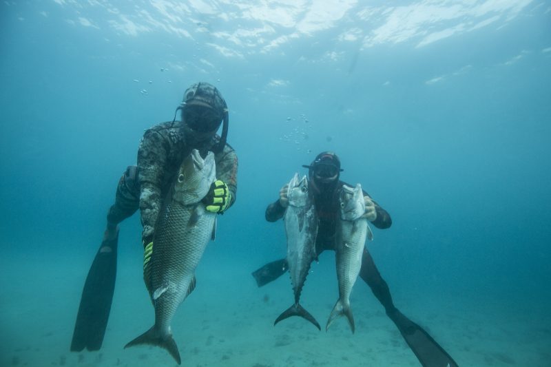 Bali Spearfishing Green Jobfish