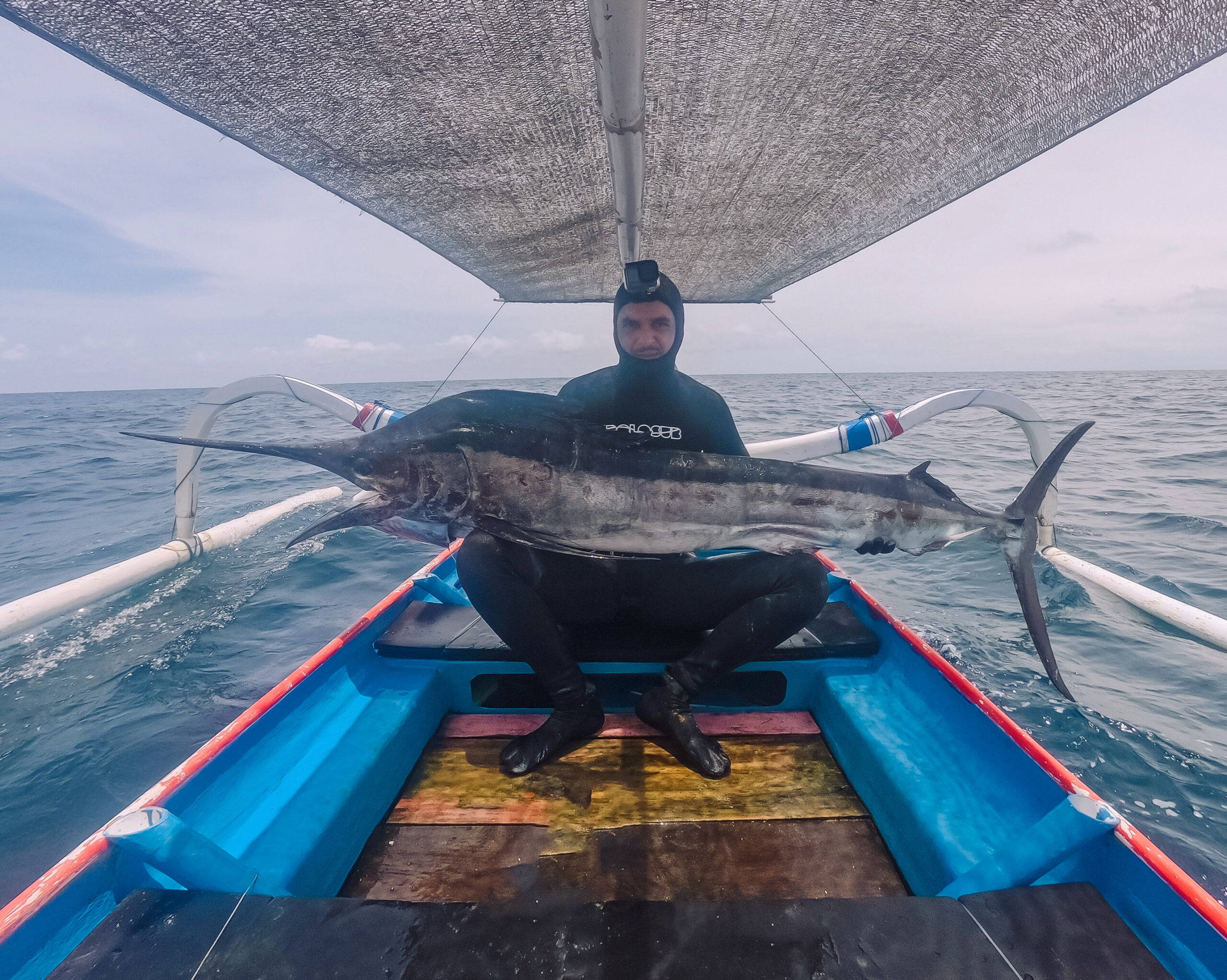 Black Marlin Spearfishing