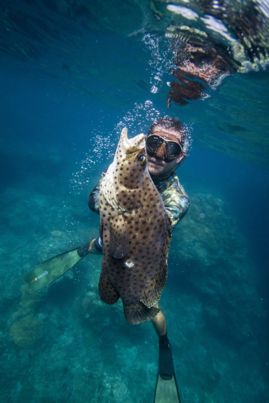 Bali Spearfishing , Barramundi Cod