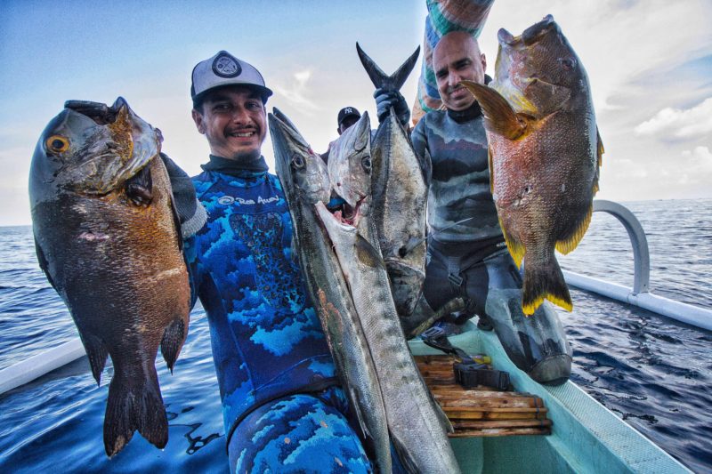 Bali Spearfishing Midnight Snapper, Barracuda, Giant Trevally and Maori Seaperch