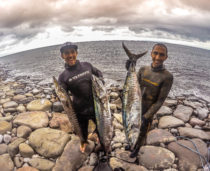Bali Spearfishing Spanish Mackerel