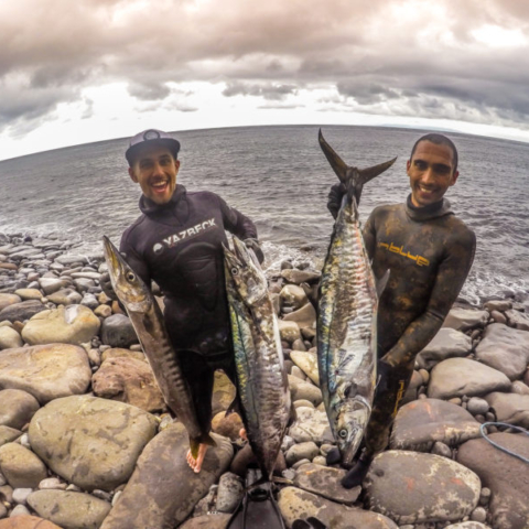 Bali Spearfishing Spanish Mackerel 20 KG