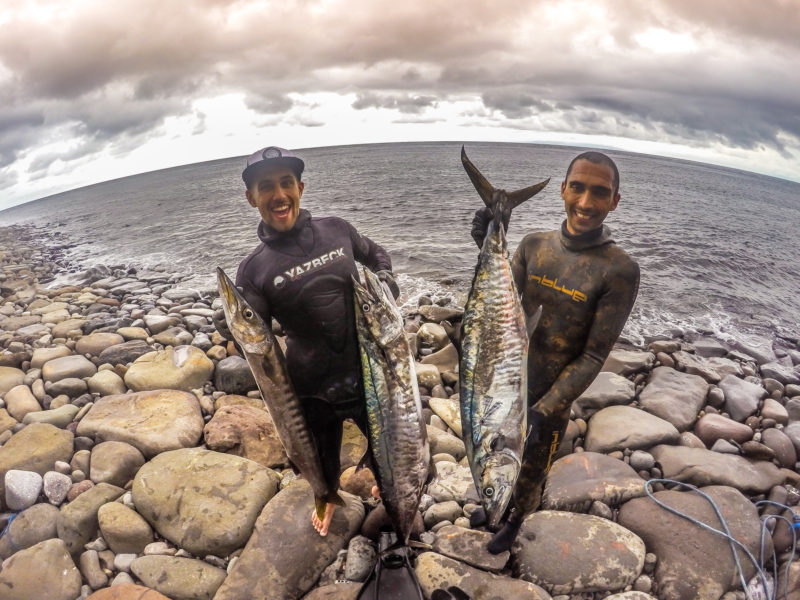 Bali Spearfishing Spanish Mackerel