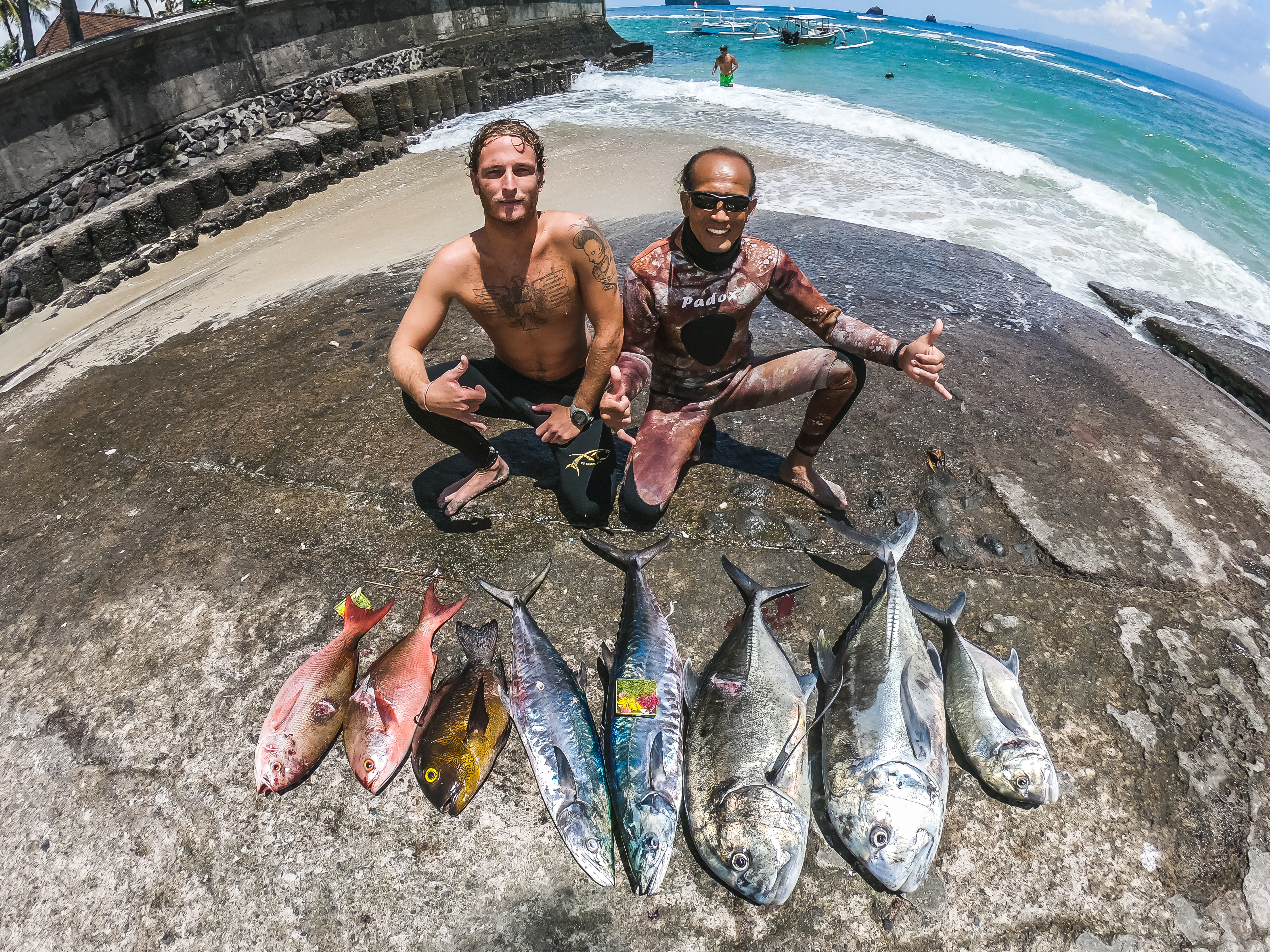 Bali spearfishing Spanish mackerel, pinball snapper, midnight snapper, Giant trivially