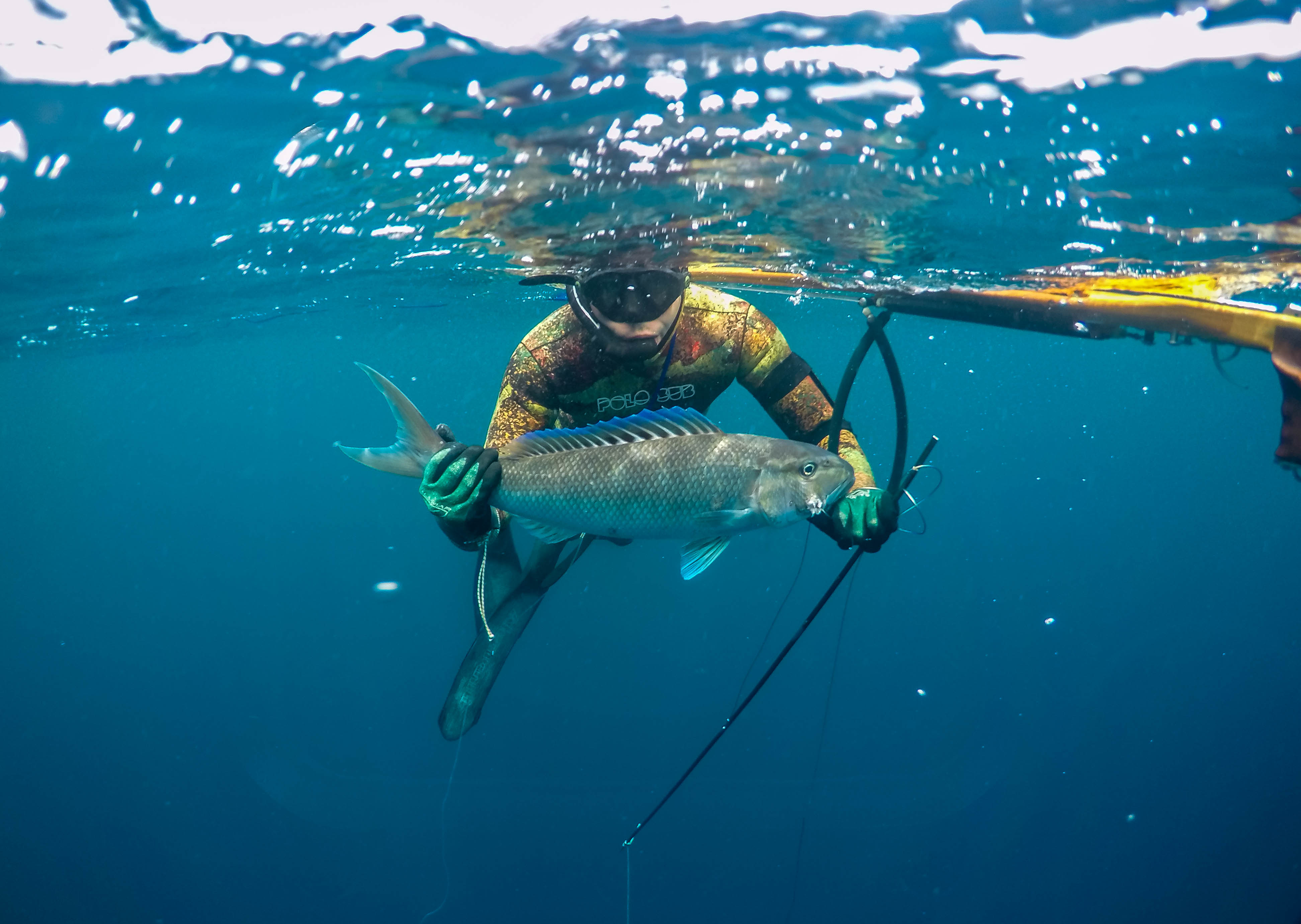 Bali Spearfishing Green Jobfish