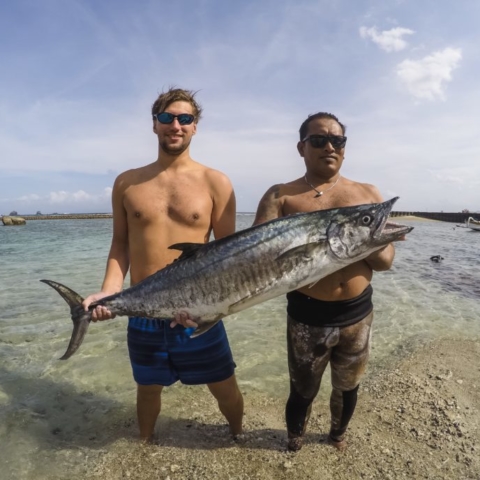 bali spearfishing, spanish mackerel