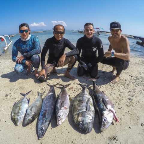 bali spearfishing, Green job fish, dogtooth tuna, giant trevally, Spanish mackerel