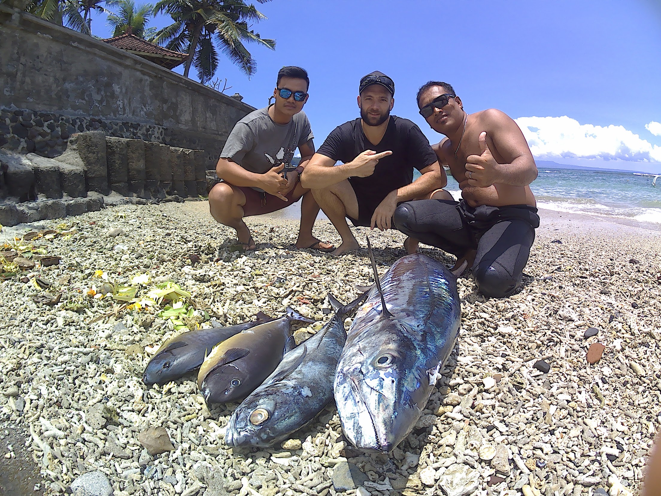 bali spearfishing, bigeye trevally, spanish mackerel
