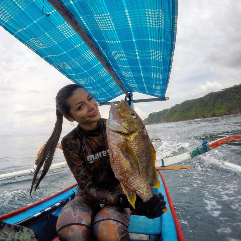 Bali Spearfishing Maori Seaperch
