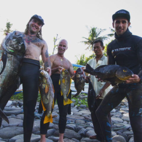 bali spearfishing giant trivially and midnight snapper