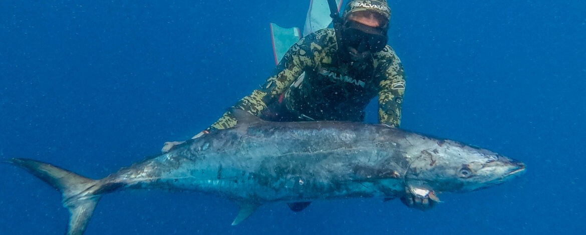 Bali spearfishing Spanish mackerel